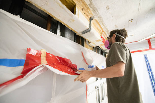 Best Crawl Space Mold Remediation  in El Cenizo, TX